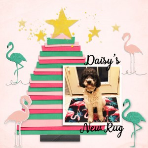 Daisy's New Rug