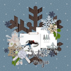 winter magic