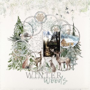 Winter Woods