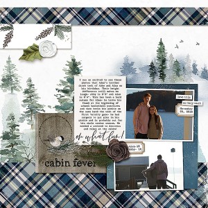 cabin fever