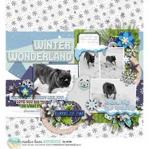 Winter Wonderland