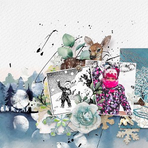 Winterland
