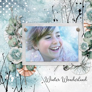 Winter wonderland