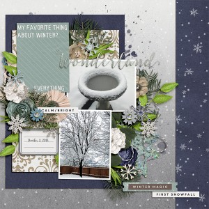 2018-12_fdd-HandlewCareDU_BG-HelpMeImCold_ap-Wintertide_web