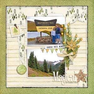 independence pass