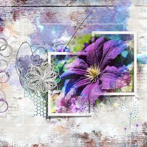 Clematis