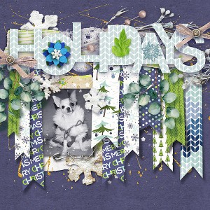 Petunia Holiday
