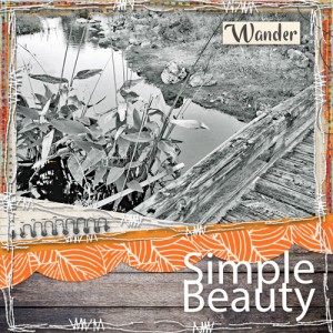 Simple Beauty