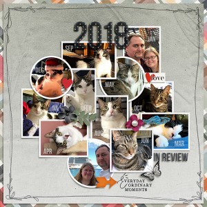 2018 in review