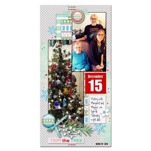 2018-12_December-TLP_DYD_15_c_web
