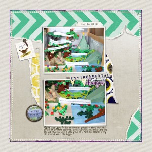 Environmental Changes