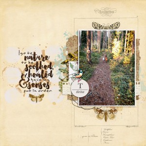 Dec-18 Inspiration challenge