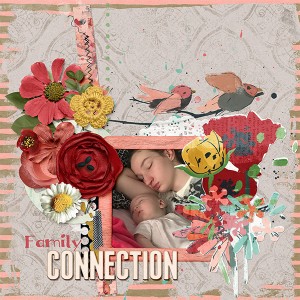 Family Connection - 12 Days