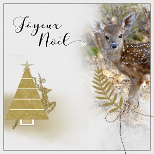 Joyeux Noël