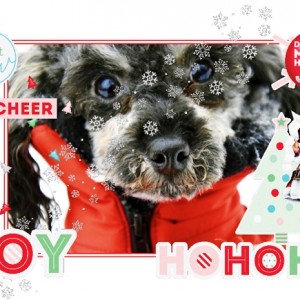 Have A Very WOOF! Christmas