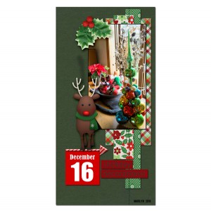 2018-12_December-TLP_DYD_16b_web