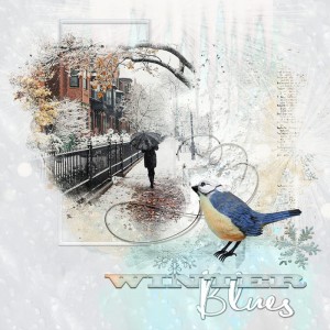 Winter-Blues