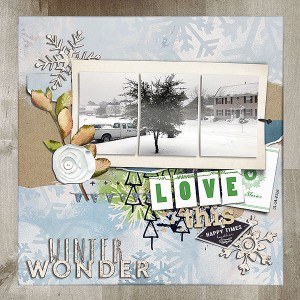 winter wonderland