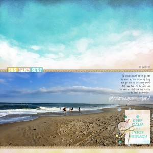 Assateague Island
