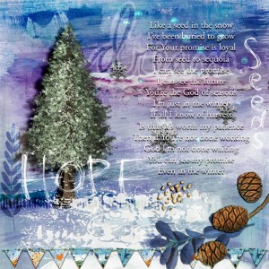 MUSEdec18_Sequoia_gallery