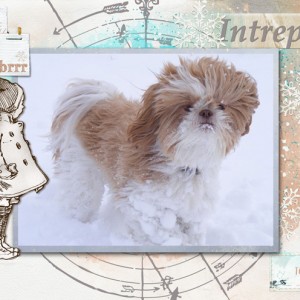 Intrepid