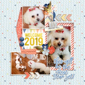 Welcome 2019