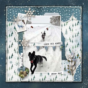 Winter_2017