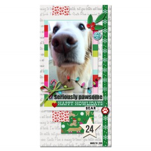2018-12_December-TLP_DYD_24_bear_web