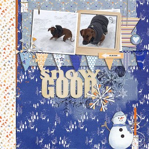 snow good