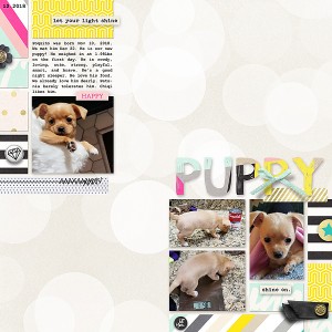 Puppy