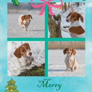 Christmas Card