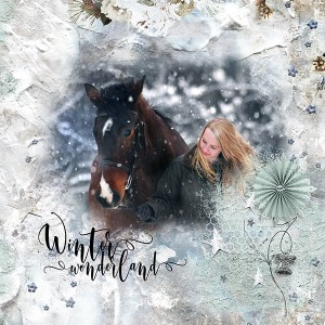 Winter Wonderland