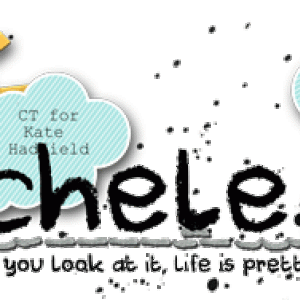 New-Siggy-2019-web