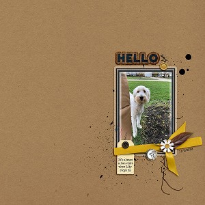 Hello (MOC 7 day 1)