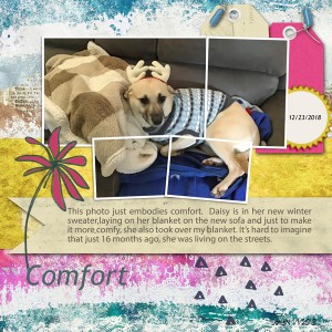 Comfort - January Challenge