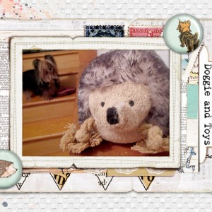 January-2-Photography-Challenge-Doggie-and-Toys