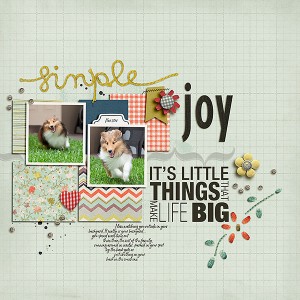 Simple-Joy
