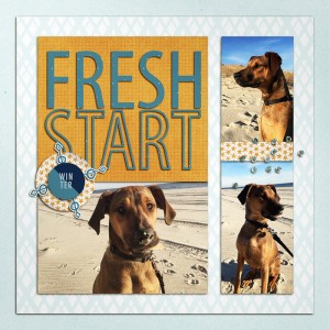 Fresh R