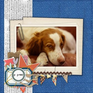 Jan 2 - DOF Challenge