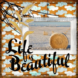 2-Haybales