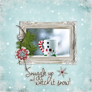 MOC7_02_Photography_Snow