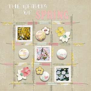 Spring Beauty On A Grid MOC7Day3