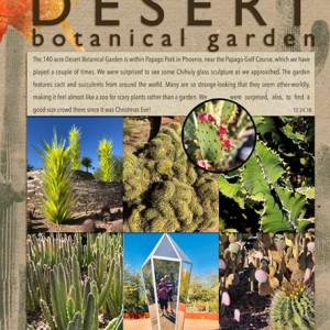 01-19_DesertBotanicalGarden