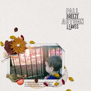 Jan. 1: Fall Breeze Autumn Leaves