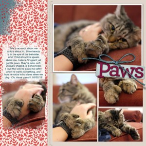 MOC7 Day 2 Paws