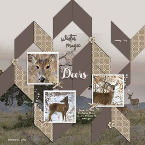 Deers