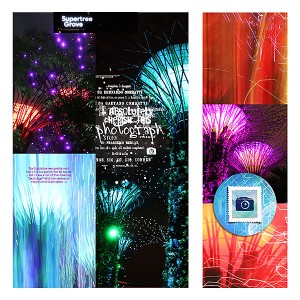 Gardens by the Bay light show
