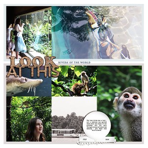 Singapore Zoo