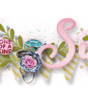 Siggie-2WEB