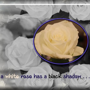 January 4: Blending Photo Technique---ATC-2019-002-A-White-Rose